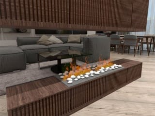 Проект Елизаветы Ашкенази